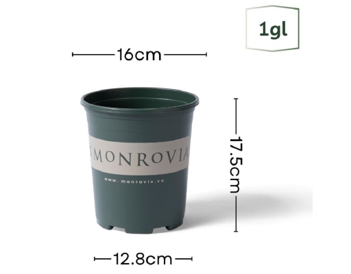 Chậu Trồng Cây 1 Gallon Monrovia ảnh 1