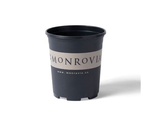 Chậu Trồng Cây 1 Gallon Monrovia ảnh 2