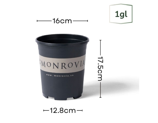 Chậu Trồng Cây 1 Gallon Monrovia ảnh 3