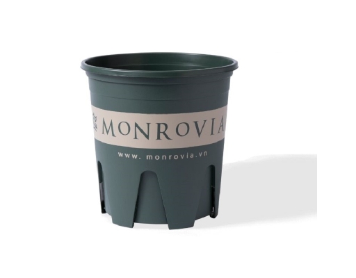 Chậu Trồng Cây 2 Gallon Monrovia ảnh 0
