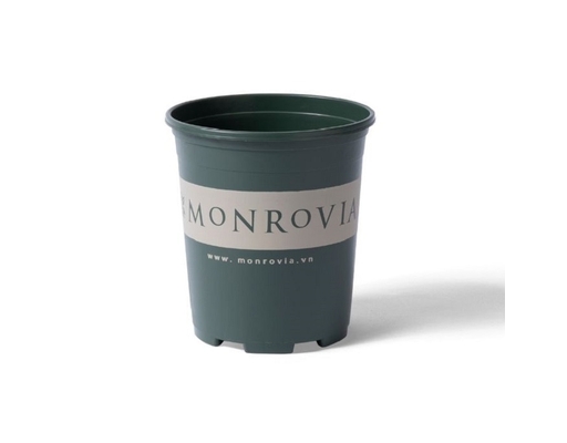 Chậu Trồng Cây 3 Gallon Monrovia ảnh 0