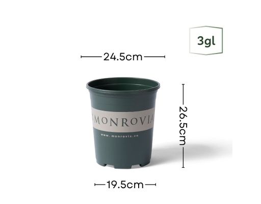 Chậu Trồng Cây 3 Gallon Monrovia ảnh 1