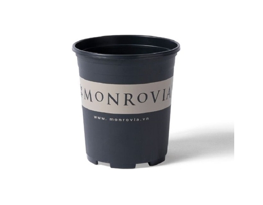 Chậu Trồng Cây 3 Gallon Monrovia ảnh 2