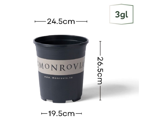 Chậu Trồng Cây 3 Gallon Monrovia ảnh 3