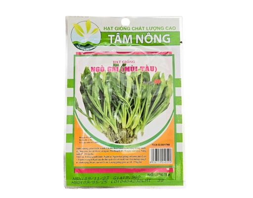 Hạt Giống Ngò Gai (Mùi Tàu) Tâm Nông ảnh 0