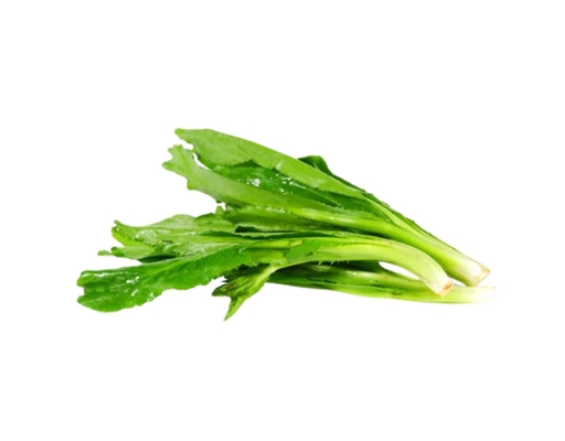 Hạt Giống Ngò Gai (Mùi Tàu) Tâm Nông ảnh 2