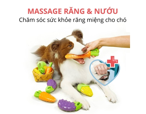 Đồ Chơi Gặm Cắn Cho Chó Phát Ra Tiếng Hình Trái Bắp FOFOS ảnh 2