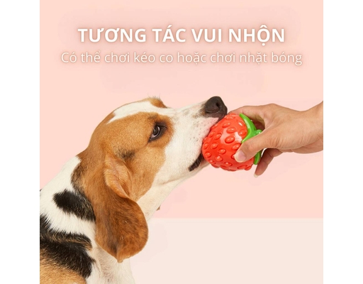 Đồ Chơi Nhai Gặm Cho Chó Phát Ra Tiếng Hình Trái Dâu FOFOS ảnh 4