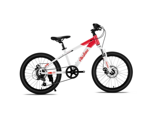 Xe Đạp Trẻ Em 20 Inch U20 Rikulau ảnh 0