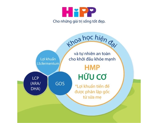 Sữa Bột Organic Combiotic Cho Bé Từ 36 Tháng 800g Hipp ảnh 5