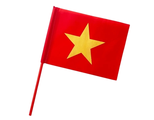 Cờ Tổ Quốc Nhỏ Cầm Tay In 2 Mặt Sportslink ảnh 0
