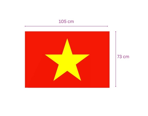 Lá Cờ Tổ Quốc Việt Nam Size 0.7mx1.05m Sportslink ảnh 2