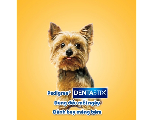 Bánh Xương Chăm Sóc Răng Cho Chó Trưởng Thành, Chó Kiểng Từ 2-5kg Dentastix Toy Dogs - 60g (7 Thanh x 8.5g) Pedigree ảnh 1