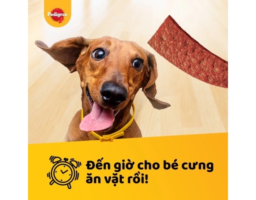 Bánh Thưởng Cho Chó Dạng Dẹt Schmackos Vị Bò Xông Khói 70g Pedigree ảnh 6