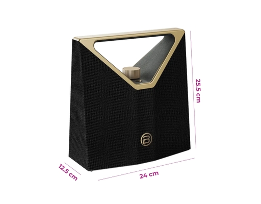 Loa Bluetooth Brief Plus BS12304 Màu Black Gold BUGANi ảnh 1
