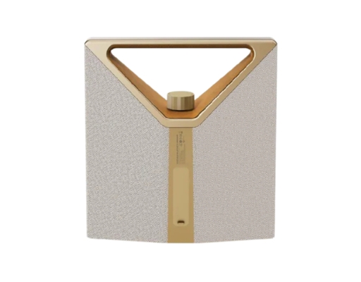 Loa Bluetooth Brief Plus BS12304 Màu Champagne Gold BUGANi ảnh 4