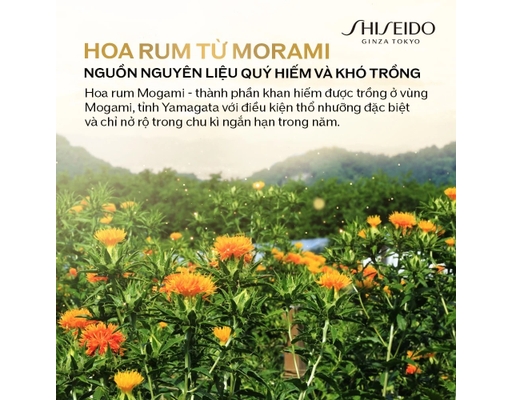 Kem Dưỡng Uplifting And Firming Advanced Cream Đánh Thức Tiềm Lực Làn Da 50ml SHISEIDO ảnh 4