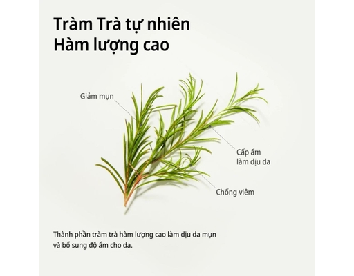 Mặt Nạ Dưỡng Da Tràm Trà Làm Dịu Da Mụn Real Teatree Calming Care Mask 20g SOME BY MI ảnh 2