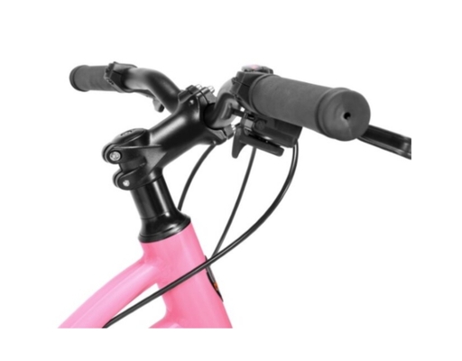 Xe Đạp Trẻ Em 24 Inch Agile Nishiki ảnh 10