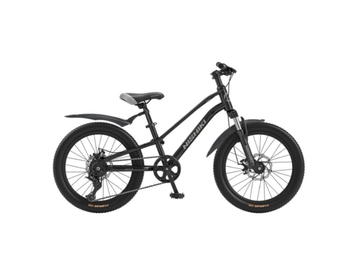 Xe Đạp Trẻ Em 24 Inch Agile Nishiki ảnh 1