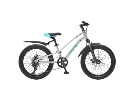 Xe Đạp Trẻ Em 24 Inch Agile Nishiki ảnh 2