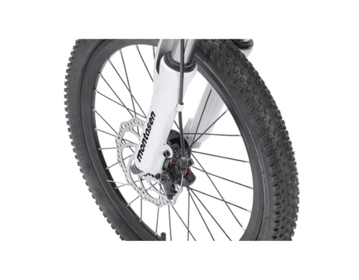 Xe Đạp Trẻ Em 24 Inch Agile Nishiki ảnh 3