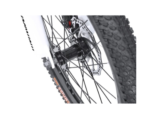 Xe Đạp Trẻ Em 24 Inch Agile Nishiki ảnh 5