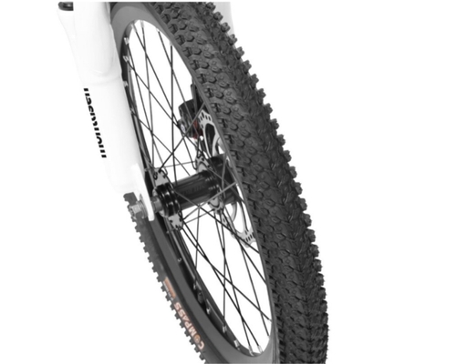 Xe Đạp Trẻ Em 24 Inch Agile Nishiki ảnh 7