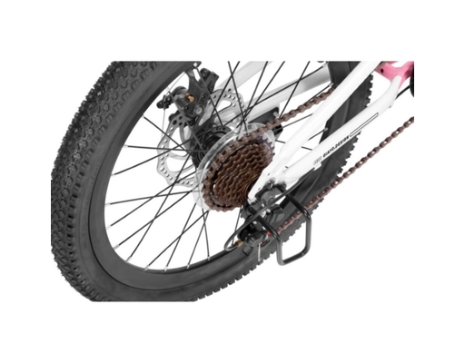 Xe Đạp Trẻ Em 24 Inch Agile Nishiki ảnh 8