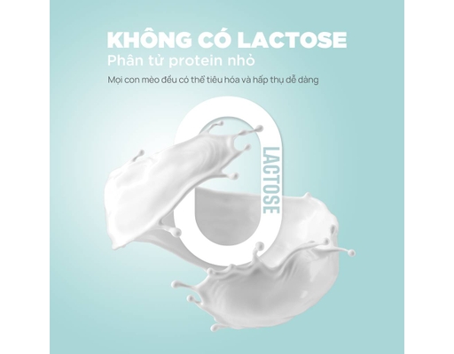 Pate Sữa Dê Cho Mèo Vị Sò Điệp 70g PetQ ảnh 9