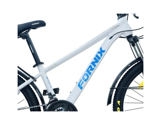 Xe Đạp Địa Hình 24 Inch KM24 Màu Tím-Bạc Fornix ảnh 1