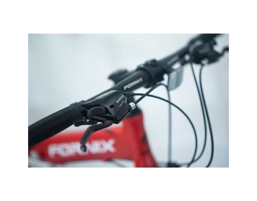 Xe Đạp Gấp 26 Inch F3 Màu Đen-Trắng Fornix ảnh 9