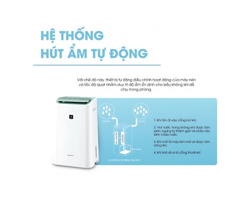 [Đặt Trước] Máy Lọc Khí Và Hút Ẩm DW-E16FA-W Sharp ảnh 12