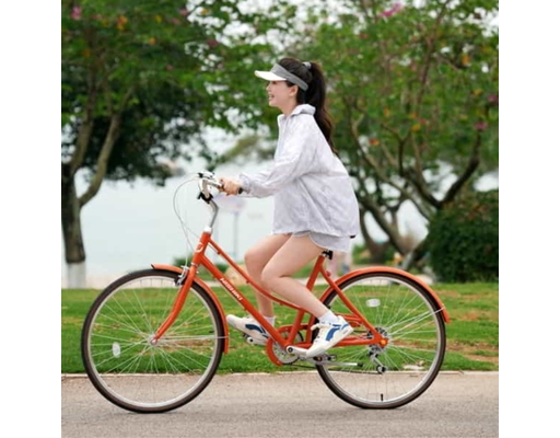 Xe Đạp Thành Phố 26 Inch Nishiki Mamoru Lady Nishiki ảnh 4