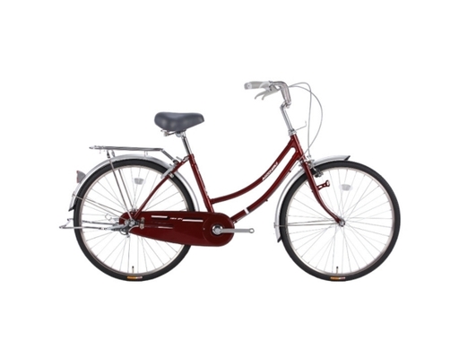Xe Đạp Thành Phố 24 Inch Nishiki Mini Nishiki ảnh 3