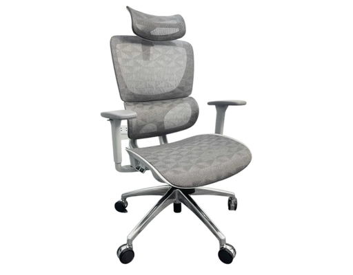 Ghế Văn Phòng Công Thái Học C102B0A 52x50x120cm Màu Xám BCHAIR ảnh 0