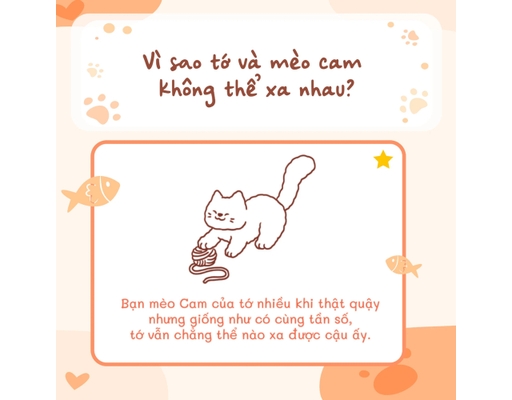 Sách Tô Màu - Tớ Có Nuôi Một Chú Mèo Cam Megabook ảnh 2