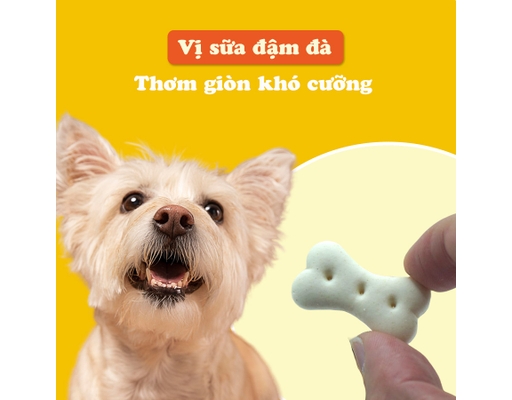 Bánh Quy Sữa Cho Chó Size Lớn 580g Doggyman ảnh 5