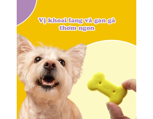 Bánh Quy Vị Gan Và Khoai Lang Cho Chó 450g Doggyman ảnh 5