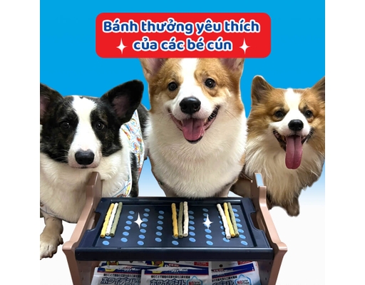 Que Dai Da Bò Thơm Miệng Cho Chó 120g Doggyman ảnh 9