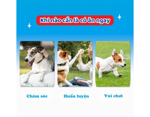 Que Dai Da Bò Thơm Miệng Cho Chó 120g Doggyman ảnh 2