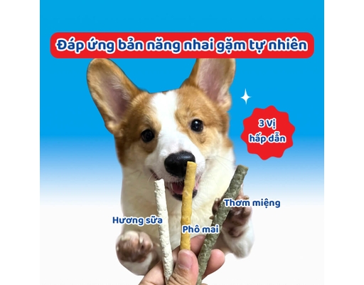 Que Dai Da Bò Thơm Miệng Cho Chó 120g Doggyman ảnh 7