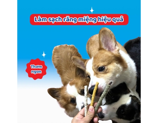 Que Dai Da Bò Thơm Miệng Cho Chó 120g Doggyman ảnh 8
