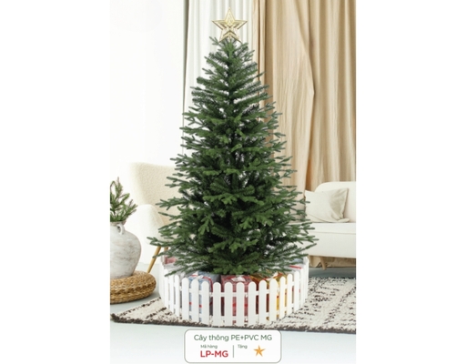 Cây Thông PE + PVC LP-MG-5 150cm Chaang Chiia ảnh 0