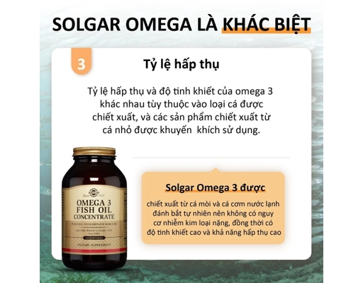 Thực Phẩm Bảo Vệ Sức Khỏe Viên Uống Dầu Cá Bổ Sung Omega 3 Omega 3 Fish Oil Concentrate 120 Viên Solgar ảnh 4