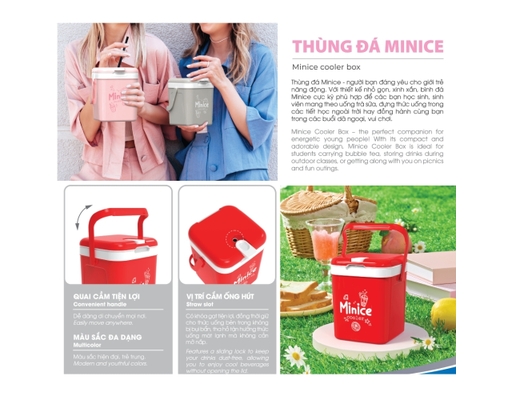 Thùng Đá Minice Dung Tích 1L Duy Tân ảnh 4