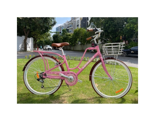 Xe Đạp Đường Phố Mini Honey 22 Inch Miamor ảnh 3