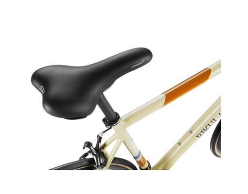 Xe Đạp Đường Phố 700C Peloton Rikulau ảnh 14