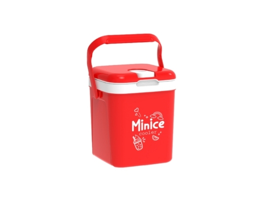 Thùng Đá Minice Dung Tích 2.1L Duy Tân ảnh 5