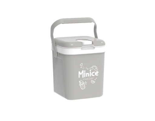 Thùng Đá Minice Dung Tích 2.1L Duy Tân ảnh 0